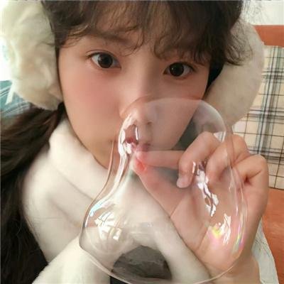宠物情人